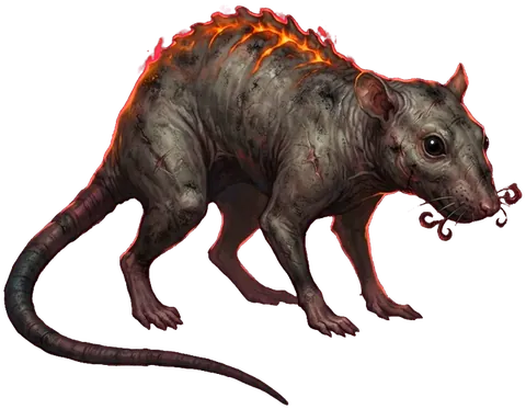 Ashen Rat