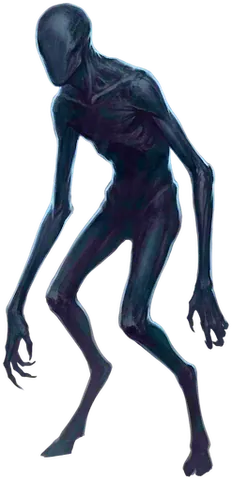 Voidschleicher